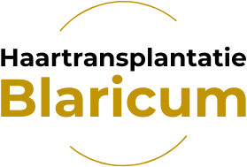 Haartransplantatie Blaricum &ndash; Specialist in FUE & Wenkbrauwen